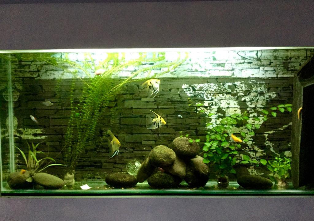 Ha My Guesthouse Da Nang Dış mekan fotoğraf